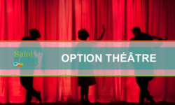 Option theatre