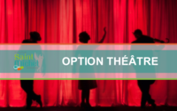Option theatre