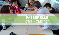 Passerelle CM1 - CM2 - 6d