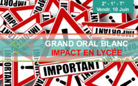 Grand oral - impact en lycee