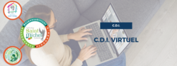 C.D.I. Virtuel